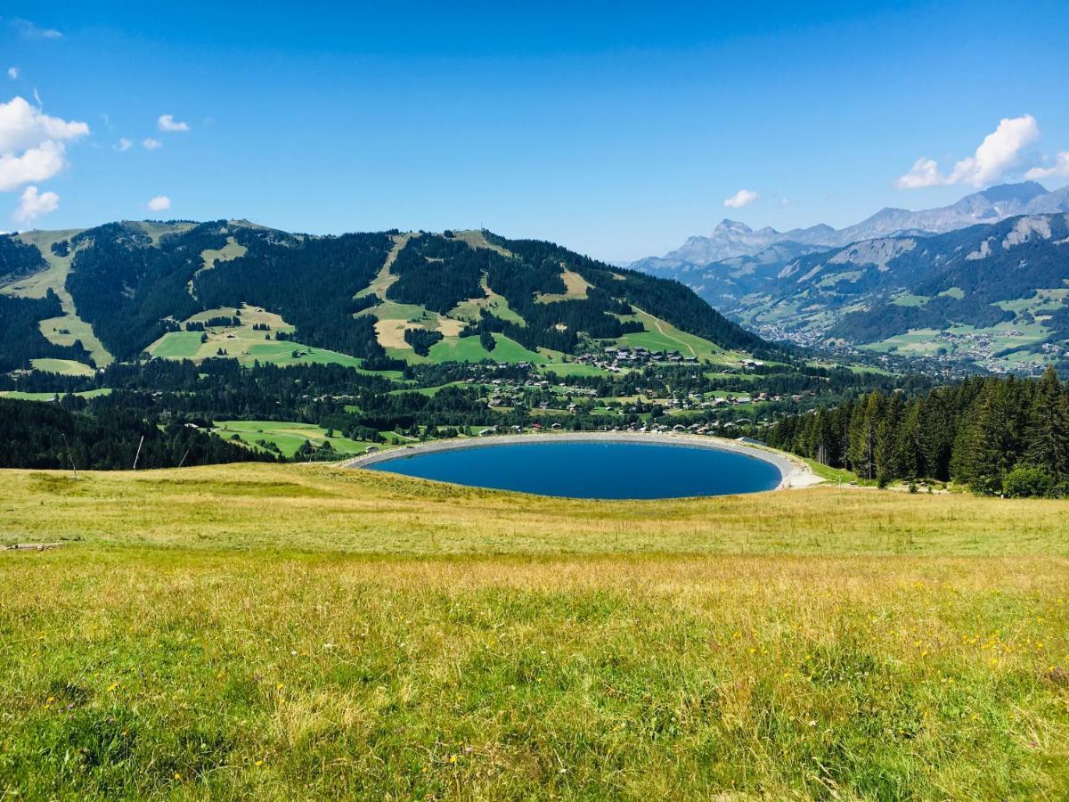 Le Hameau Des Neiges Appartement Praz-sur-Arly Buitenkant foto